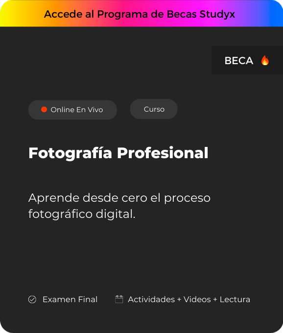 Fotografía Profesional